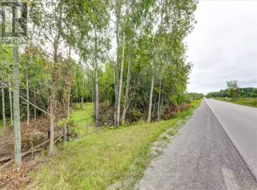 791 Mount Horeb Road, Kawartha Lakes, Ontario K0L2W0, ,Vacant Land,For Sale,Mount Horeb,X6761472