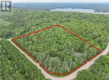 38 POMEROY Road, Sprucedale, Ontario P0A1Y0, ,Vacant Land,For Sale,POMEROY,40472030