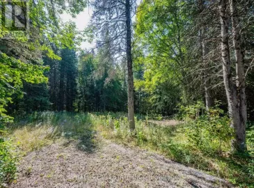 1972 Weslemkoon Lake Road, Tudor & Cashel, Ontario K0L1W0, ,Vacant Land,For Sale,Weslemkoon Lake,X7008970